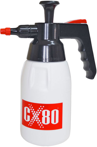 dsdsCX80915.jpg