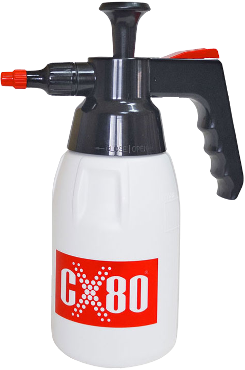 dsdsCX80915.jpg